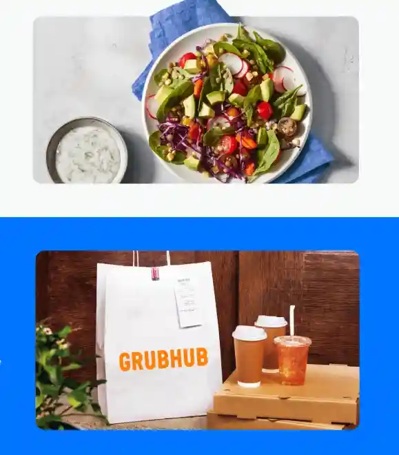Grubhub delivery bag